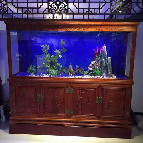 百晶坊 專業(yè)水族定制工廠，為您打造專屬水下世界——專訪負責(zé)人狄宏
