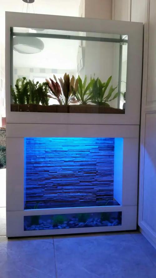 百晶坊專業(yè)水族定制工廠——打造專屬水下生態(tài)世界
