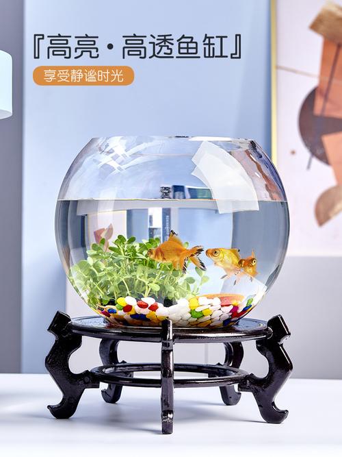 圓水族箱 從廠家、品牌到熱帖，一篇搞懂選購與風水、養魚門道