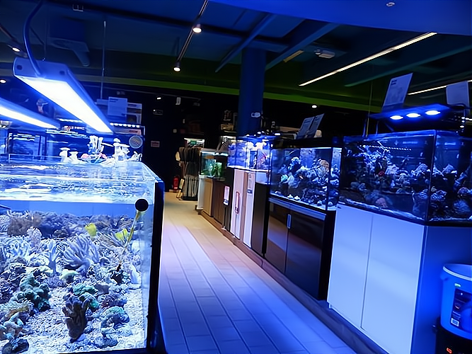 水族店店_水族店,專(zhuān)業(yè)指導(dǎo)讓你輕松創(chuàng)業(yè)!水族店店費(fèi)